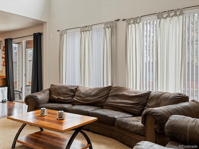 living room featuring wood finished floors