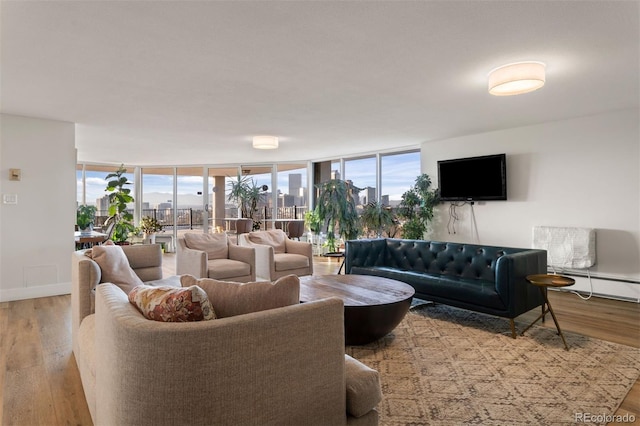 living room with a wall of windows and light wood-type flooring