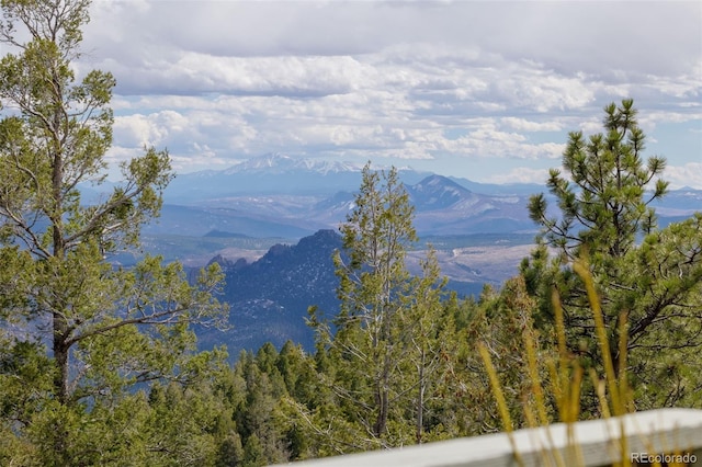 13452 Riley Peak Rd, Conifer, CO 80433 - view of mountain background