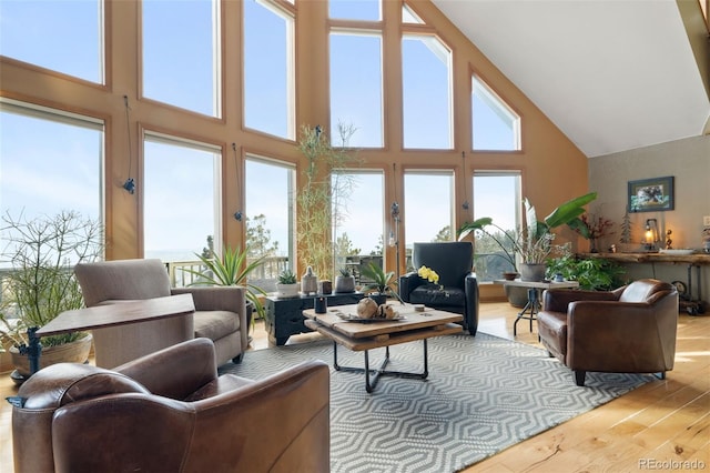 13452 Riley Peak Rd, Conifer, CO 80433 - living area featuring light wood finished floors and a towering ceiling