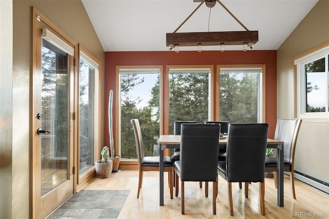 13452 Riley Peak Rd, Conifer, CO 80433 - dining room featuring lofted ceiling, light wood finished floors, and a baseboard radiator