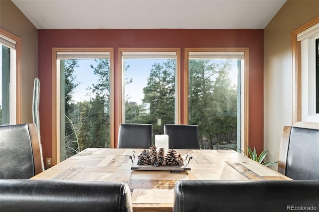13452 Riley Peak Rd, Conifer, CO 80433 - dining space with plenty of natural light