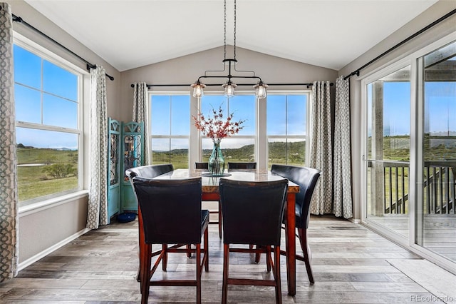 2511 Loon Ln, Castle Rock, CO 80104 - photo 15