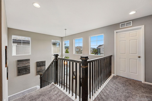 2511 Loon Ln, Castle Rock, CO 80104 - photo 18