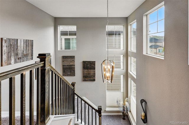 2511 Loon Ln, Castle Rock, CO 80104 - photo 19