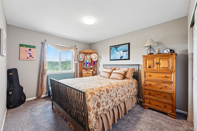 2511 Loon Ln, Castle Rock, CO 80104 - photo 31