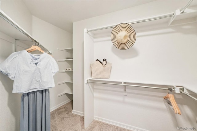 17020 E 107th Ave, Commerce City, CO 80022 - spacious closet featuring carpet flooring