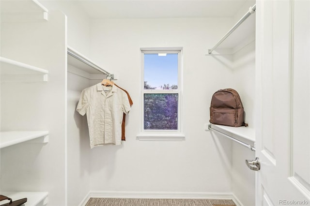 17020 E 107th Ave, Commerce City, CO 80022 - view of walk in closet