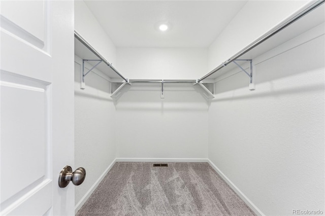 3295 N Coolidge Way, Aurora, CO 80019 - walk in closet with carpet flooring