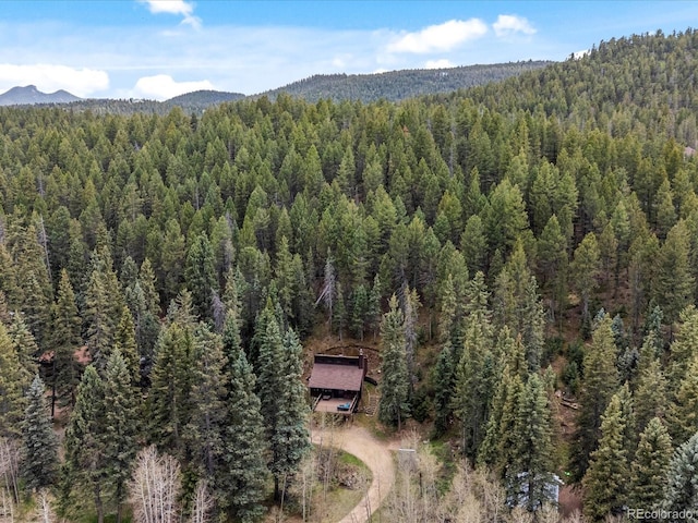 28272 Shadow Mountain Dr, Conifer, CO 80433 - aerial view of property's location featuring a heavily wooded area and a mountain backdrop