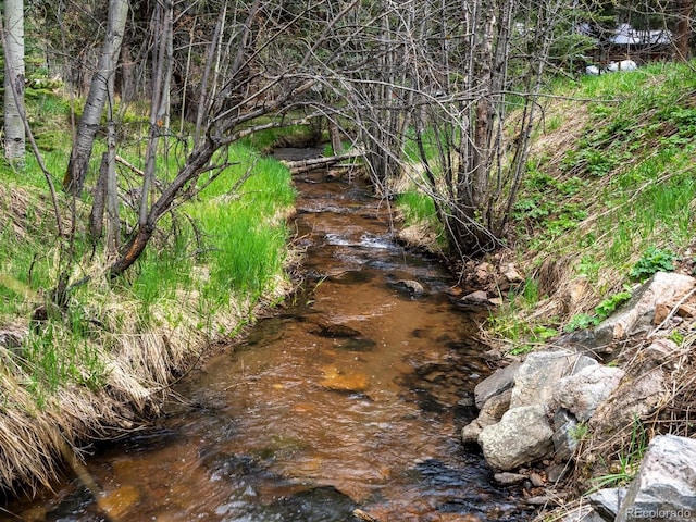 28272 Shadow Mountain Dr, Conifer, CO 80433 - view of undeveloped land