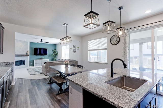 9835 Uravan St, Commerce City, CO 80022 - kitchen featuring a sink, dark wood finished floors, ceiling fan, decorative light fixtures, and light stone countertops