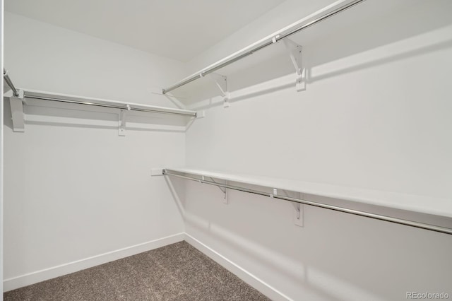 3070 S Poppy St, Morrison, CO 80465 - photo 8