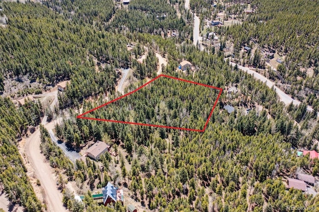 8793 Martin Ln, Conifer, CO 80433
