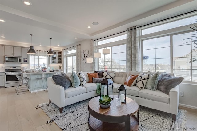 living room featuring a wealth of natural light and light hardwood / wood-style flooring