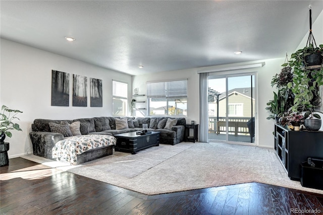 living room featuring hardwood / wood-style flooring and a textured ceiling