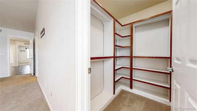 spacious closet featuring carpet