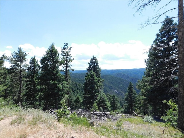 Listing photo 3 for 13670 Spruce Creek Cir, Larkspur CO 80118