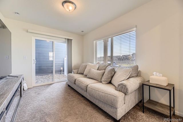 18270 E 51st Pl, Denver, CO 80249 - living area with carpet and baseboards