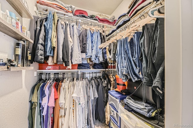 18270 E 51st Pl, Denver, CO 80249 - view of spacious closet