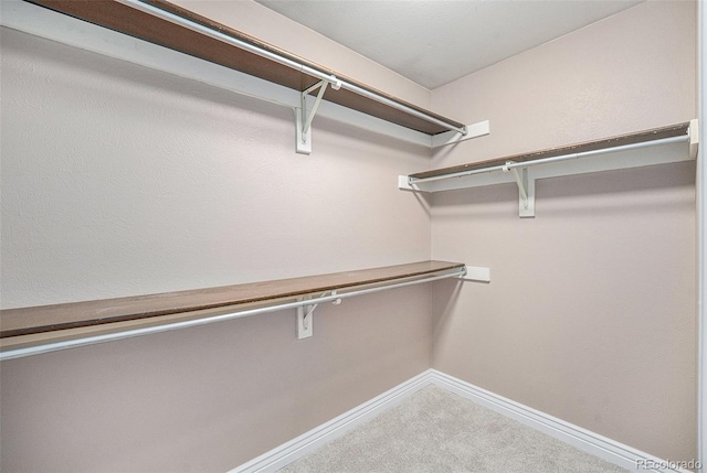 10247 W Roxbury Pl, Littleton, CO 80127 - walk in closet with carpet