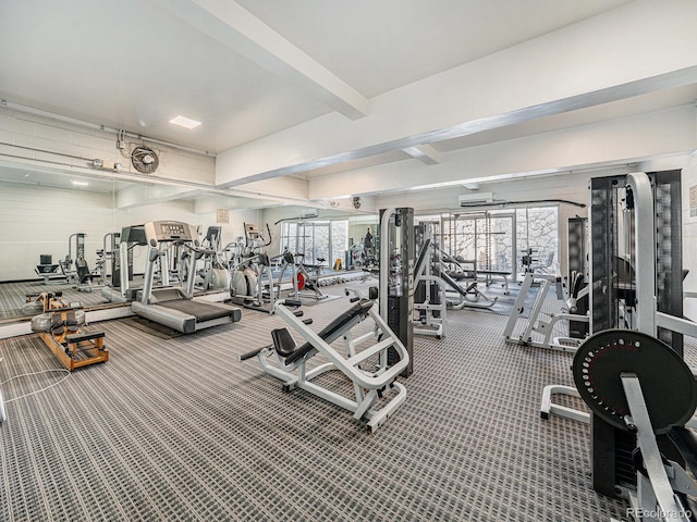 exercise room featuring an AC wall unit and carpet