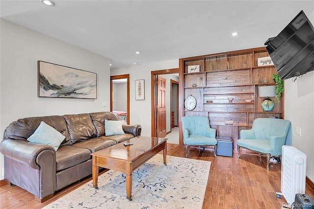 700 Rosalie Rd, Bailey, CO 80421 - living area featuring light wood-style floors, recessed lighting, and radiator