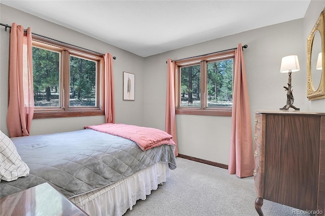 700 Rosalie Rd, Bailey, CO 80421 - carpeted bedroom featuring multiple windows and baseboards