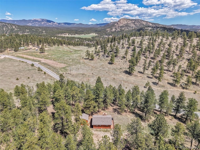 700 Rosalie Rd, Bailey, CO 80421 - view of subject property with a mountainous background