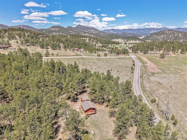 700 Rosalie Rd, Bailey, CO 80421 - drone / aerial view of mountains