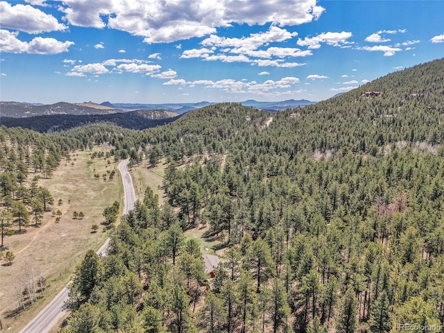 700 Rosalie Rd, Bailey, CO 80421 - mountain view featuring a heavily wooded area