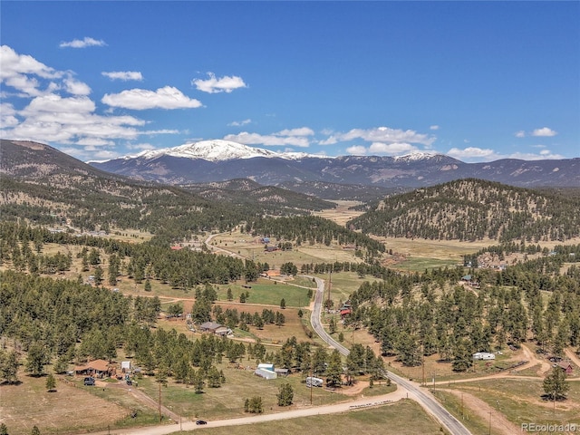 700 Rosalie Rd, Bailey, CO 80421 - mountain view