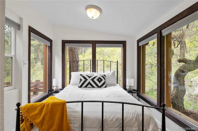 bedroom featuring vaulted ceiling