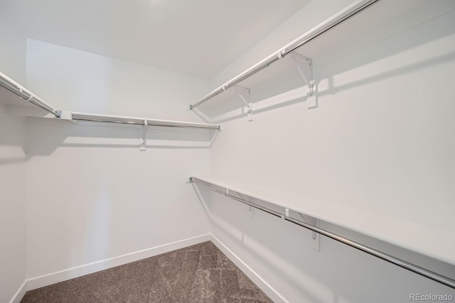 spacious closet with dark colored carpet