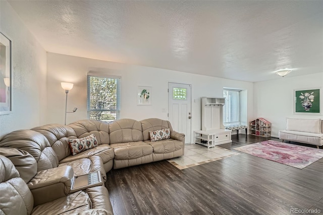 10064 Owens St, Broomfield, CO 80021 - living room featuring wood finished floors and a textured ceiling
