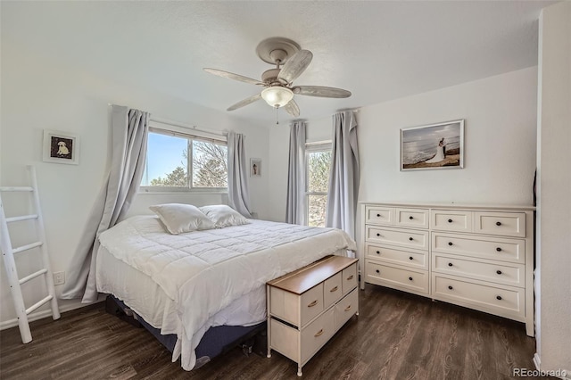 10064 Owens St, Broomfield, CO 80021 - bedroom with multiple windows, dark wood finished floors, and a ceiling fan