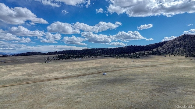 389 Park Rd, Hartsel, CO 80449 - photo 7