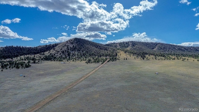 389 Park Rd, Hartsel, CO 80449 - photo 14