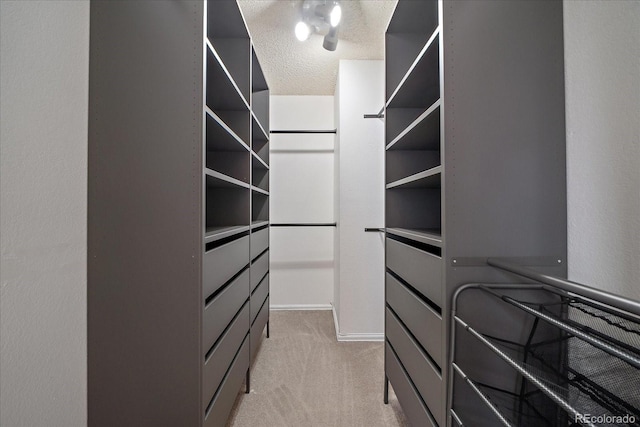 walk in closet with light colored carpet