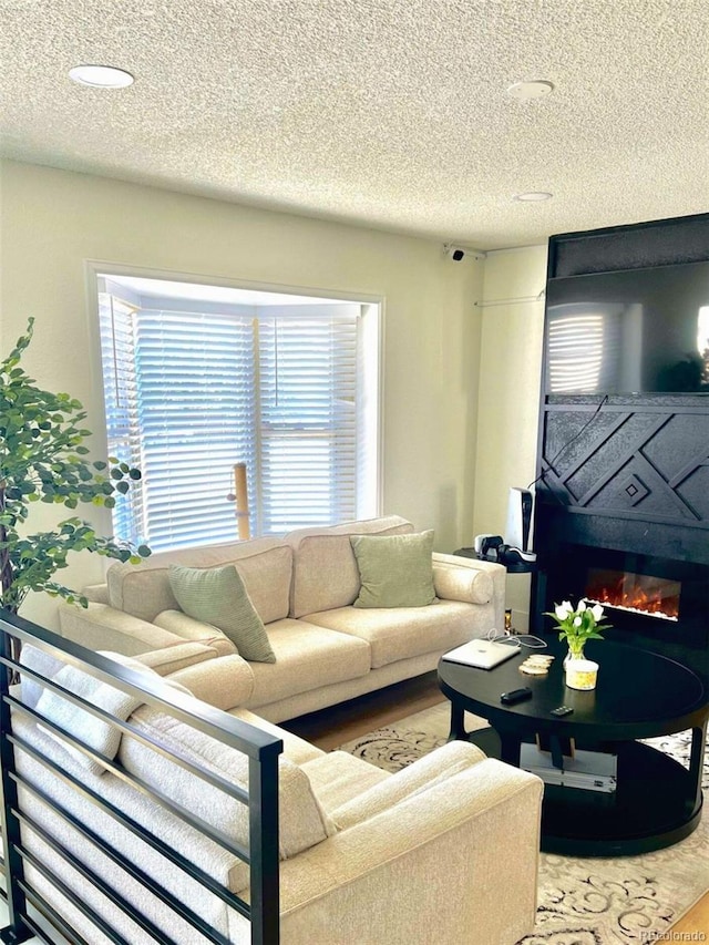 1528 Coronado Pkwy, Denver, CO 80229 - living area featuring a textured ceiling and a glass covered fireplace