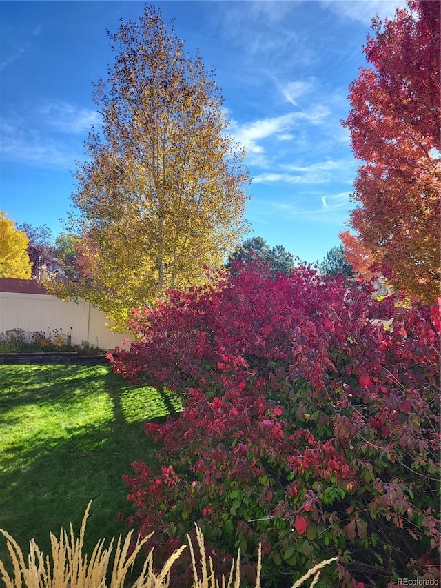 view of yard with fence