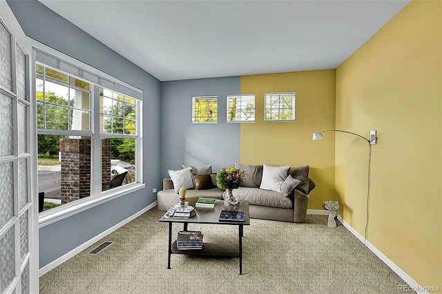 20532 E Lake Cir, Centennial, CO 80016 - living area with carpet flooring and baseboards