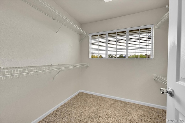 20532 E Lake Cir, Centennial, CO 80016 - walk in closet featuring carpet