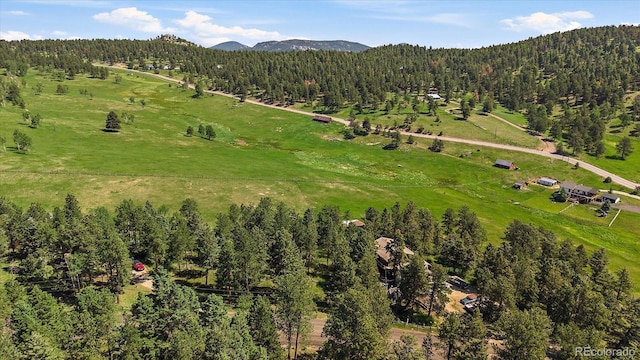 0 Amy Cir, Conifer, CO 80433