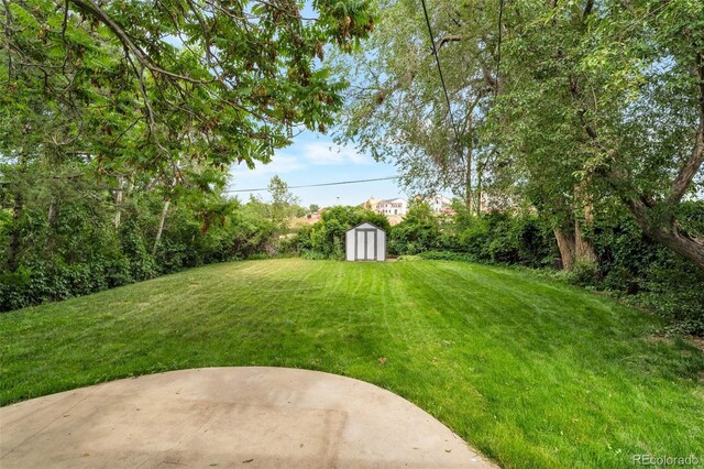8280 Auburn Ln, Westminster, CO 80031 - view of grassy yard featuring a storage unit and a patio area