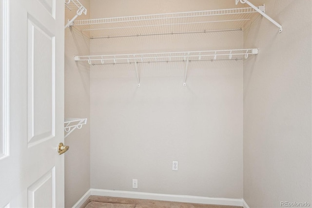 2870 W Riverwalk Cir Unit B, Littleton, CO 80123 - view of walk in closet