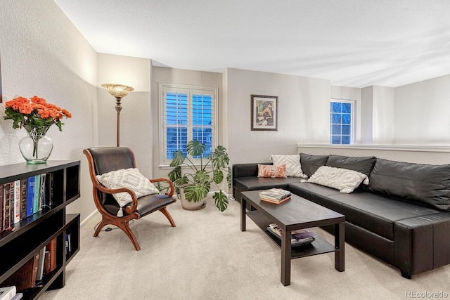 living room with a textured wall and carpet