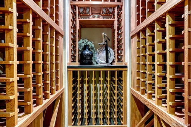 view of wine cellar