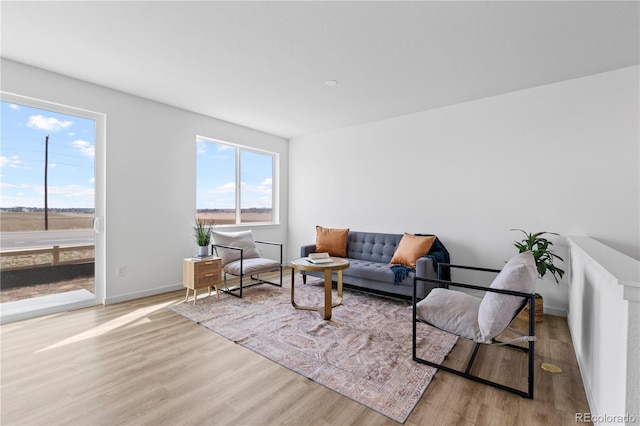 living room with wood finished floors and baseboards