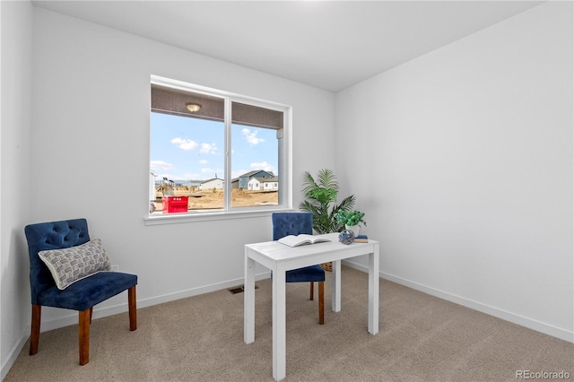 office area featuring baseboards and carpet